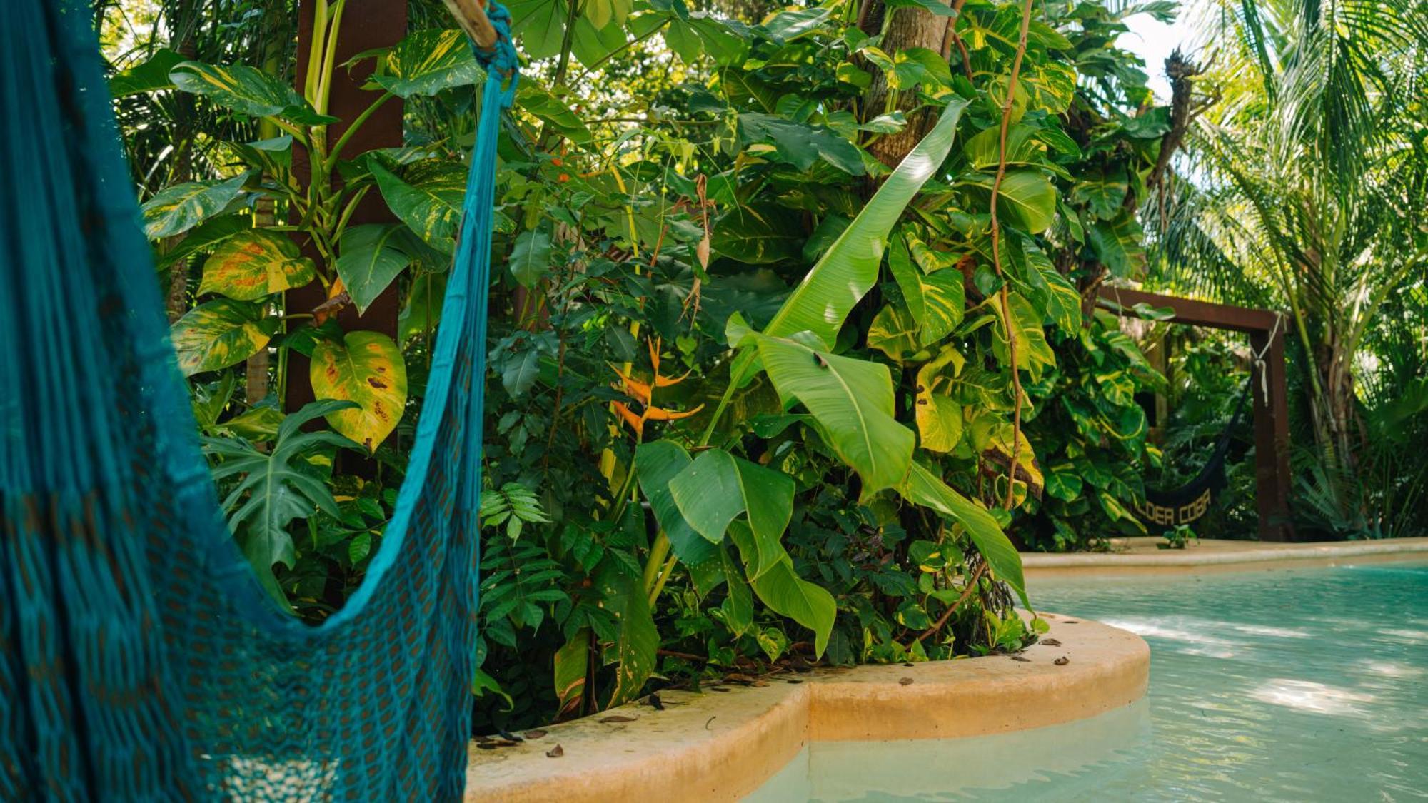 Aldea Coba An Escape Boutique Experience Otel Dış mekan fotoğraf