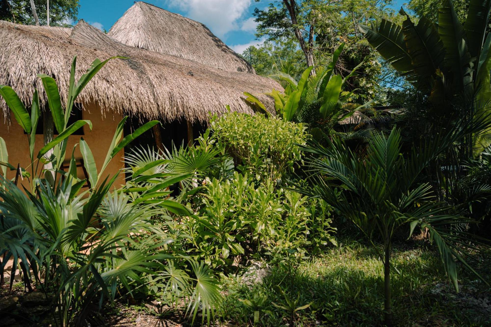 Aldea Coba An Escape Boutique Experience Otel Oda fotoğraf